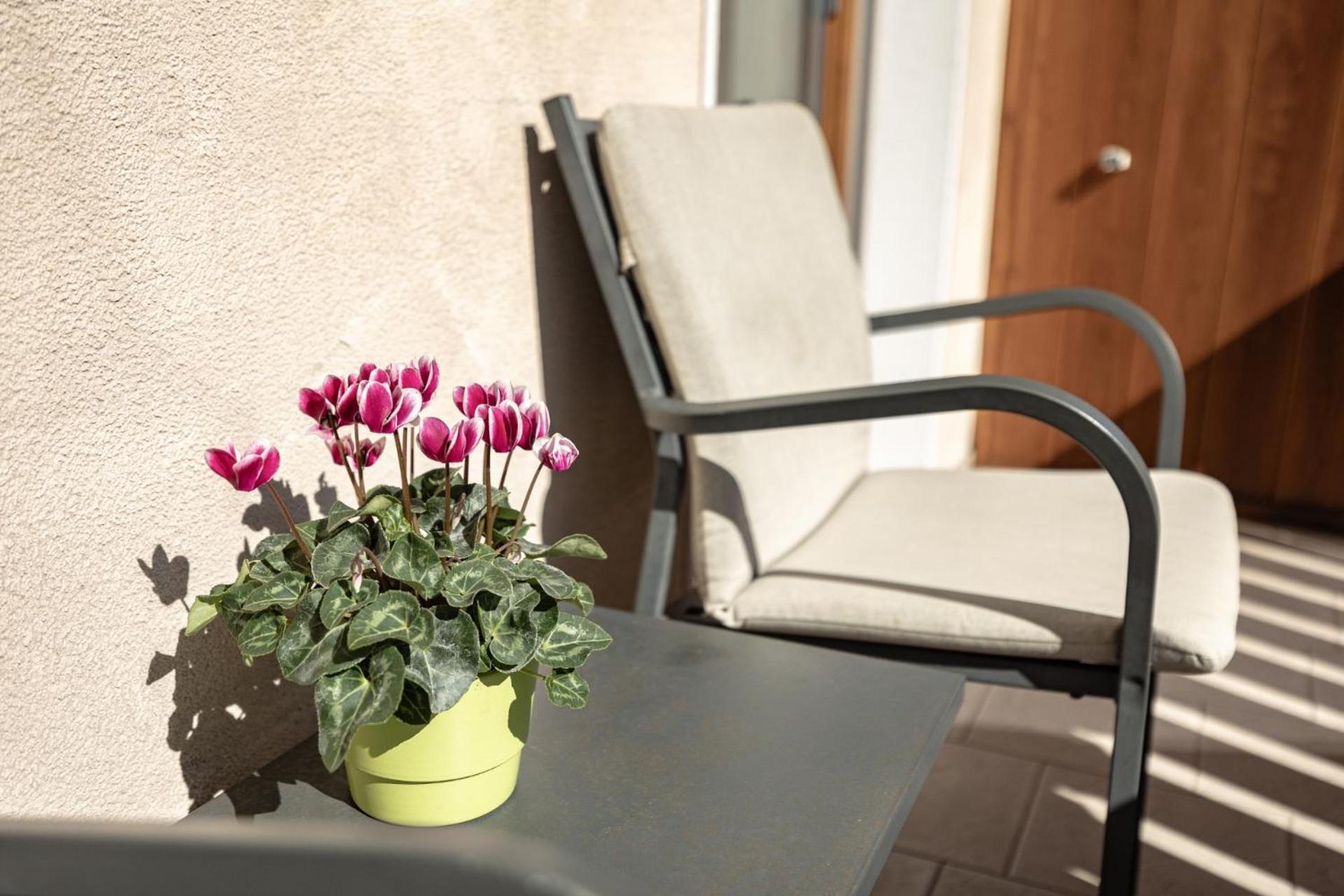 Apartments Soval Santa Cristina Val Gardena Екстер'єр фото